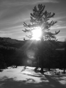 mt hood snowshoeing tours