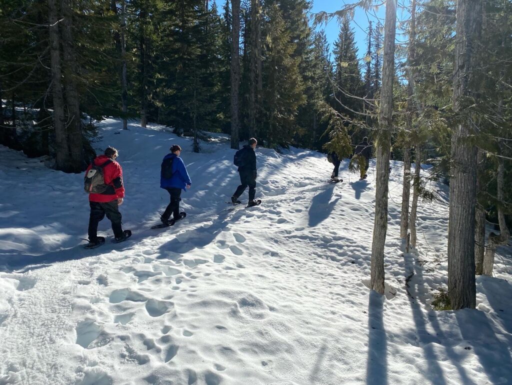 392CD413-A20A-4029-BF25-3577E2F038B3